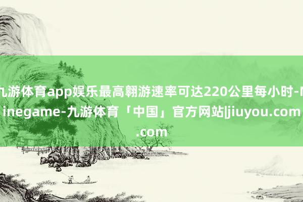 九游体育app娱乐最高翱游速率可达220公里每小时-Ninegame-九游体育「中国」官方网站|jiuyou.com